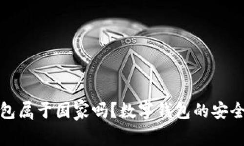 数字钱包属于国家吗？数字钱包的安全性解析