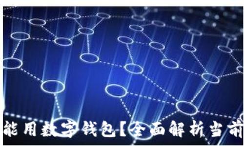   
什么线上支付能用数字钱包？全面解析当前主流支付方式