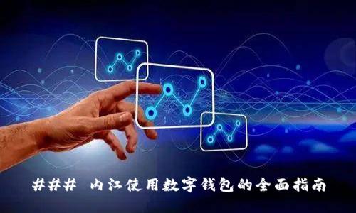 ### 内江使用数字钱包的全面指南