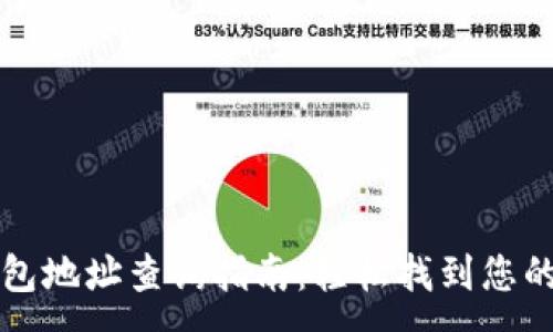 :
区块链钱包地址查询指南：轻松找到您的交易记录