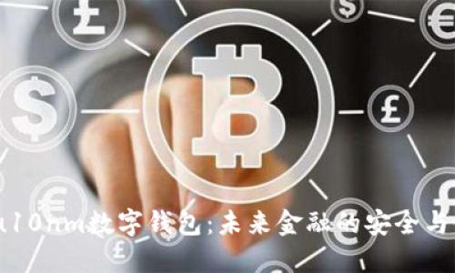 xiaoshou10nm数字钱包：未来金融的安全与便捷体验