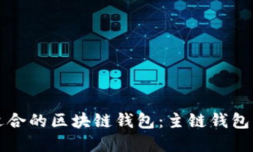 如何选择适合的区块链钱包：主链钱包的全面指南