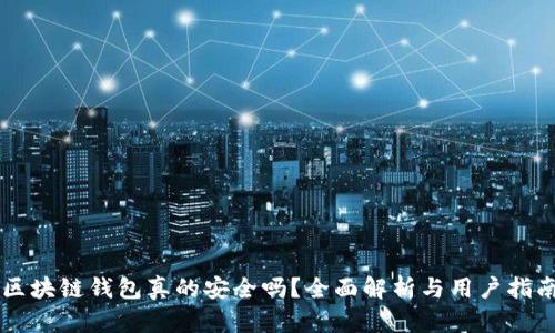 区块链钱包真的安全吗？全面解析与用户指南