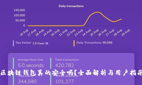 区块链钱包真的安全吗？全面解析与用户指南
