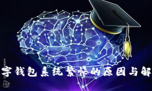 人民数字钱包系统繁忙的原因与解决方案