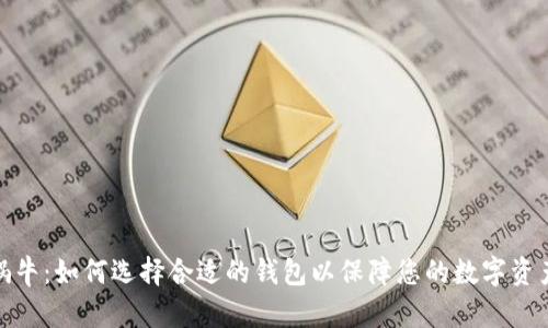 数字蜗牛：如何选择合适的钱包以保障您的数字资产安全