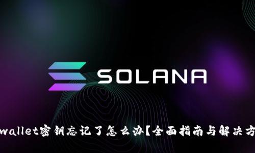 tpwallet密钥忘记了怎么办？全面指南与解决方案