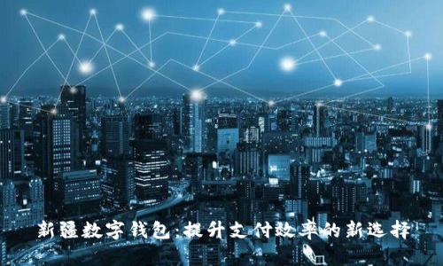 新疆数字钱包：提升支付效率的新选择