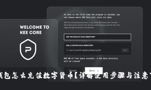 冷钱包怎么充值数字货币？详解使用步骤与注意事项