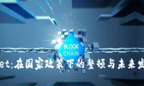 TPWallet：在国家政策下的整顿与未来发展分析