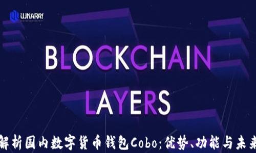 
全面解析国内数字货币钱包Cobo：优势、功能与未来发展