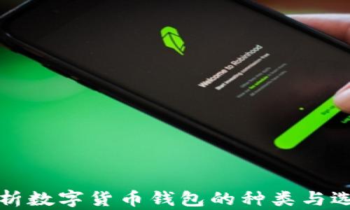 
全面解析数字货币钱包的种类与选择指南