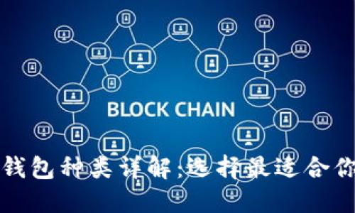 数字人民币钱包种类详解：选择最适合你的支付方式