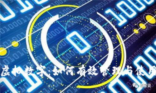 抖音钱包虚拟数字：如何有效管理与使用数字资产