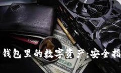 建议br如何有效保护钱包里的数字资产：安全指南