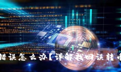 TP钱包转币错误怎么办？详解找回误转币的解决方案
