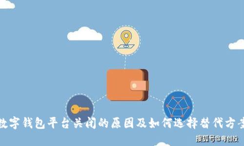 数字钱包平台关闭的原因及如何选择替代方案