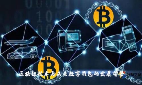 区块链技术与未来数字钱包的发展前景