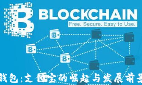 
数字钱包：支付宝的崛起与发展前景分析