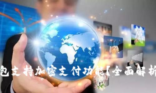 哪些钱包支持加密支付功能？全面解析与推荐