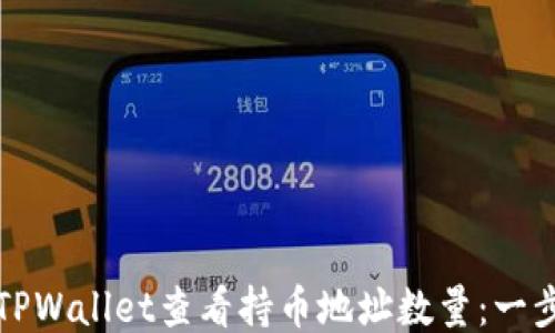 如何使用TPWallet查看持币地址数量:一步一步指南
