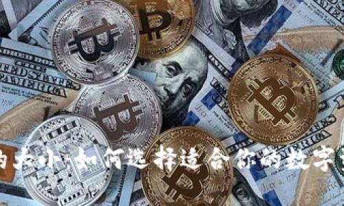 数字币钱包的大小：如何选择适合你的数字资产管理方案