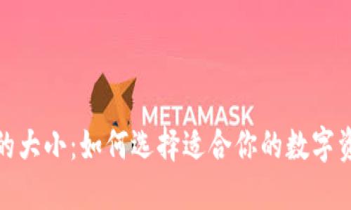 数字币钱包的大小：如何选择适合你的数字资产管理方案