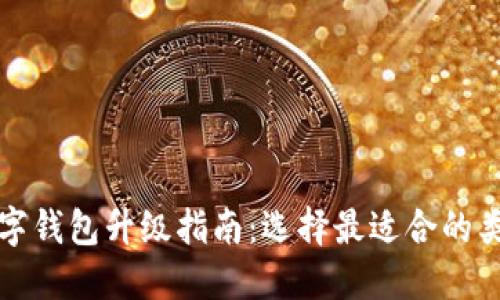 数字钱包升级指南：选择最适合的类型