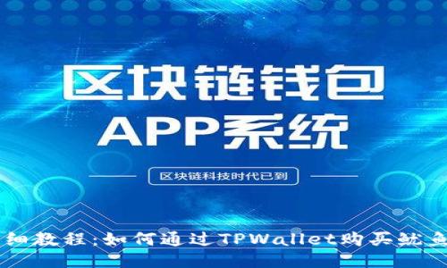 详细教程：如何通过TPWallet购买鱿鱼币