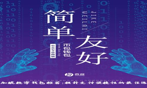 新加坡数字钱包推荐：提升支付便捷性的最佳选择