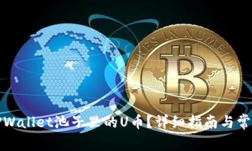 如何找回TPWallet池子里的U币？详细指南与常见问题解答
