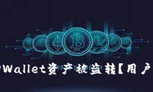 如何有效防止TPWallet资产被盗转？用户指南与安全策略