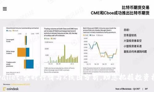 tpwallet：实时行情与K线图分析，助您把握投资机会
