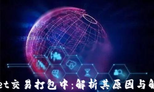 
TPWallet交易打包中：解析其原因与解决方案