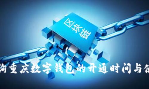 如何查询重庆数字钱包的开通时间与使用指南