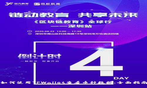 如何使用TPWallet查看币种数据：全面指南
