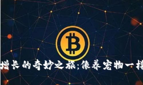 数字钱包用户增长的奇妙之旅：像养宠物一样呵护你的应用