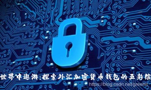 在数字世界中遨游：探索外汇加密货币钱包的五彩缤纷天地