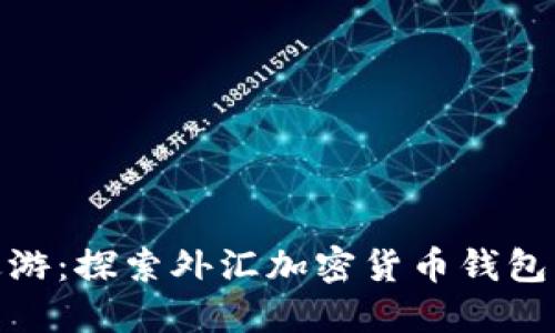 在数字世界中遨游：探索外汇加密货币钱包的五彩缤纷天地