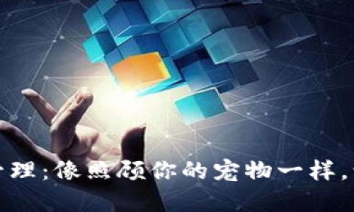数字钱包账务管理：像照顾你的宠物一样，让财务健康成长