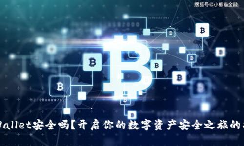 TPWallet安全吗？开启你的数字资产安全之旅的指南