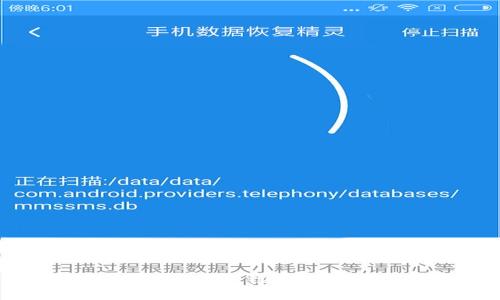 手机后面的钱包数字：银行卡密码的秘密花园