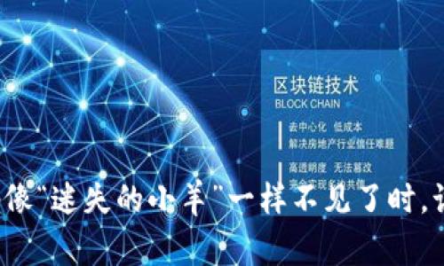 当你的TPWallet DApp像“迷失的小羊”一样不见了时，该如何找到它的回家路？