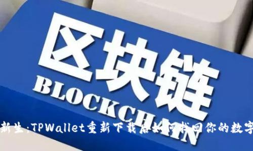 钱包新生：TPWallet重新下载后如何找回你的数字资产