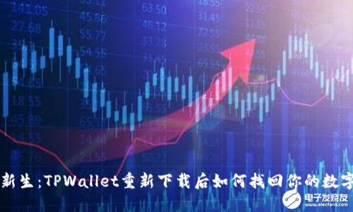 钱包新生：TPWallet重新下载后如何找回你的数字资产