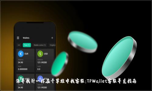 像寻找针一样在干草堆中找客服：TPWallet客服寻觅指南