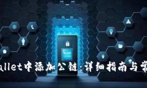 如何在TPWallet中添加公链：详细指南与常见问题解答