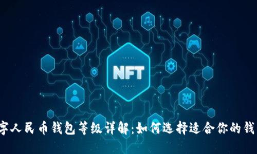 数字人民币钱包等级详解：如何选择适合你的钱包？