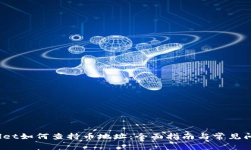  tpwallet如何查持币地址：全面指南与常见问题解答