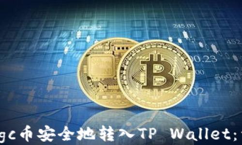 
如何将Vgc币安全地转入TP Wallet：详细指南